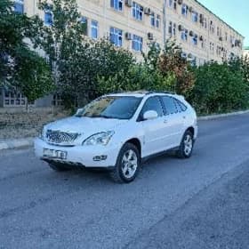 Lexus RX 330 2004