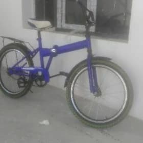 tigir