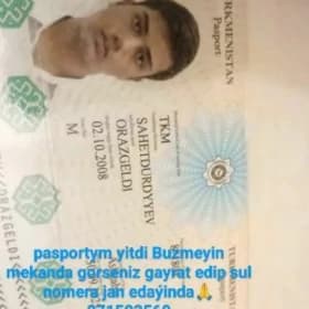 pasport yitdi