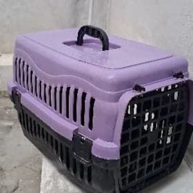 домик для домашни кошек