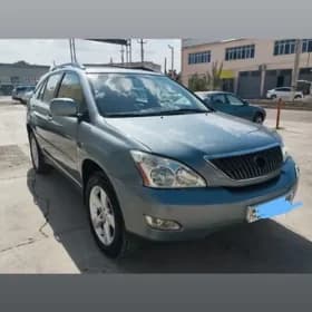 Lexus RX 330 2004