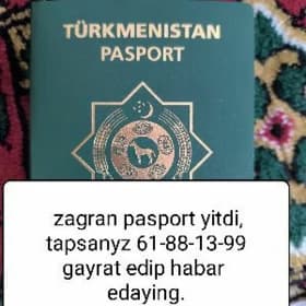pasport yitirdik