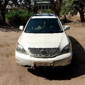 Lexus RX 330 2004