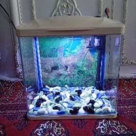 Аквариум Akvarium