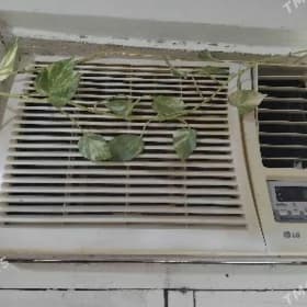 Kondisioner LG Gold