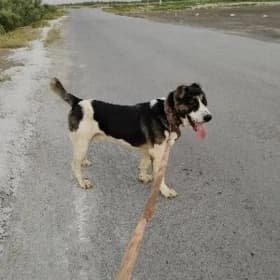 it