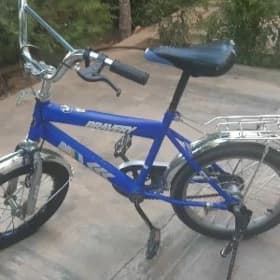 Tigr 16 lyk