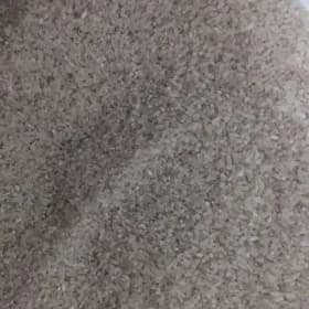 secgi