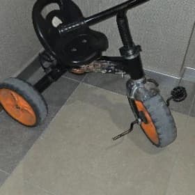 Çaga tigr