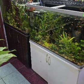 заводские аквариумы