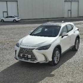 Lexus NX 350 2024
