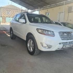 Hyundai Santa Fe 2009