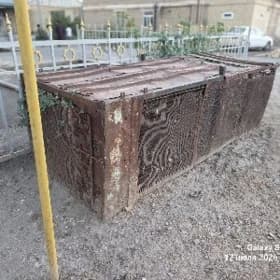gowu ýagdaýda ketek