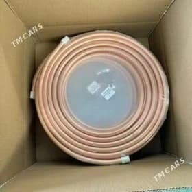 Mis turba