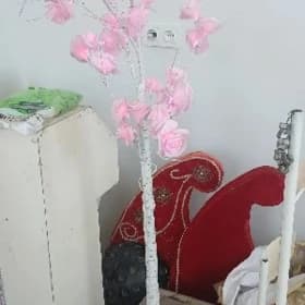toy bezeg