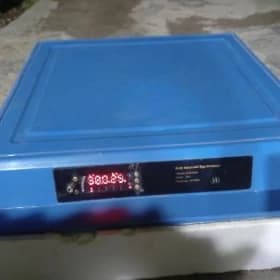 inkubator