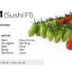 Sushi F1Çerri pomidor tohum