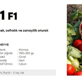 4201 F1 pomidor tohum