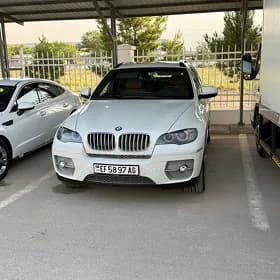 BMW X6 2010