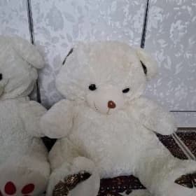 miska ayyjyk