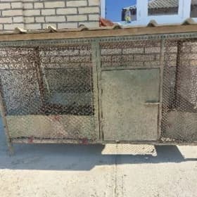 ketek jüje