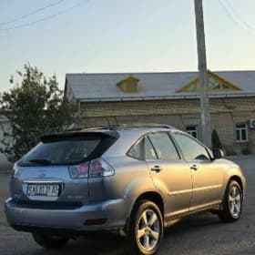 Lexus RX 330 2004
