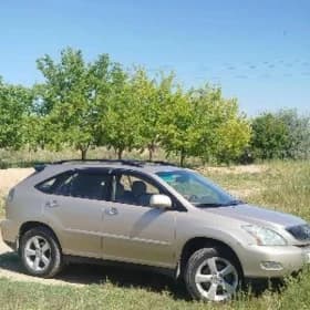 Lexus RX 330 2004