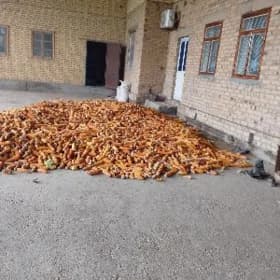 тохумлык мекке