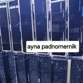 Aynaly padnomernik