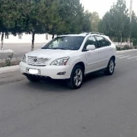 Lexus RX 330 2004