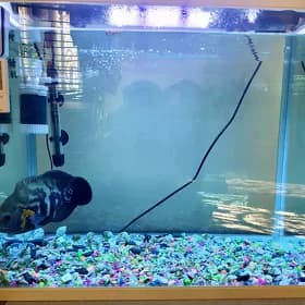 Akwarum 75 liter