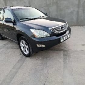 Lexus RX 330 2004