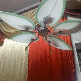 Lustra