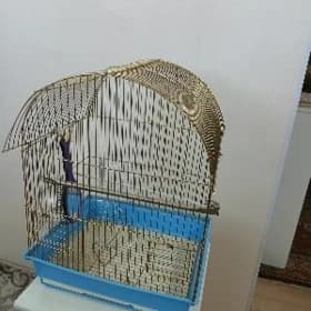 клетка