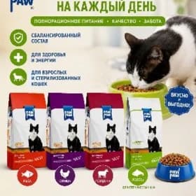 корм для кошек