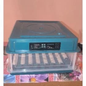 Inkubator