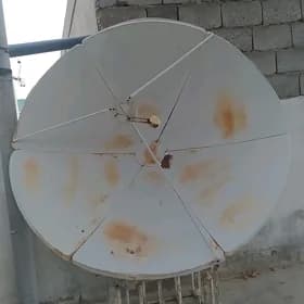 uly antena
