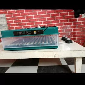 inkubator 98 yumurtgalyk