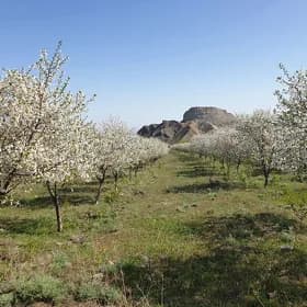 Ir-iýmiş baglar