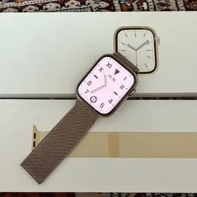 Apple Watch 7 stainless