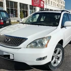 Lexus RX 330 2004