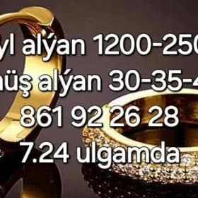 gyzyl kümüş alÿan