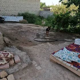 apjarke arasa