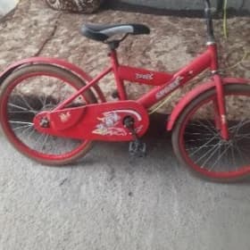 tigir
