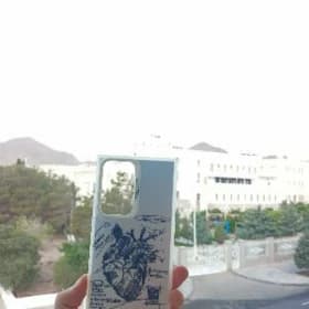 Samsung S22 Ultra cehol