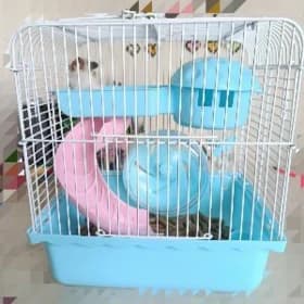 клетка для грызунов
