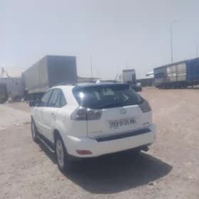 Lexus RX 330 2004