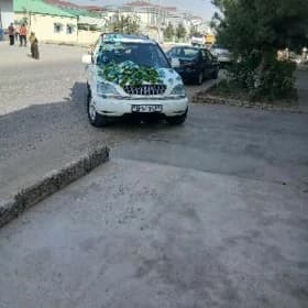 Lexus RX 300 2002