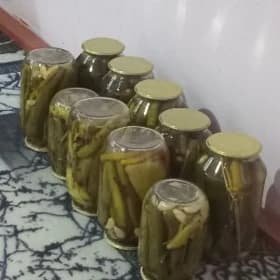 салионнасалионний бодринг