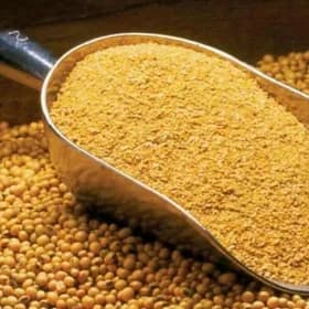 soya srot